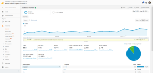 Google Analytics Data View